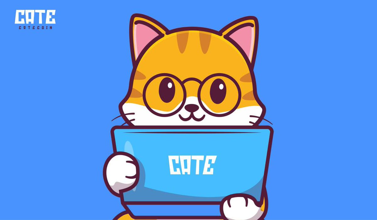 bnbcaptain's tweet photo. 🐾Meet @catecoin  ($CATE), the first cat-themed memecoin on the BNB Chain! 🚀 
For crypto newcomers, $CATE is one to watch—this memecoin has huge potential, especially if #Binance expands its memecoin listings on BNB Chain. Right now, #Catecoin is the top cat-themed memecoin on the network. Don’t miss out! #cryptocurrency #memecoin #BNBChain 
Contract 👇 

0xe4fae3faa8300810c835970b9187c268f55d998f