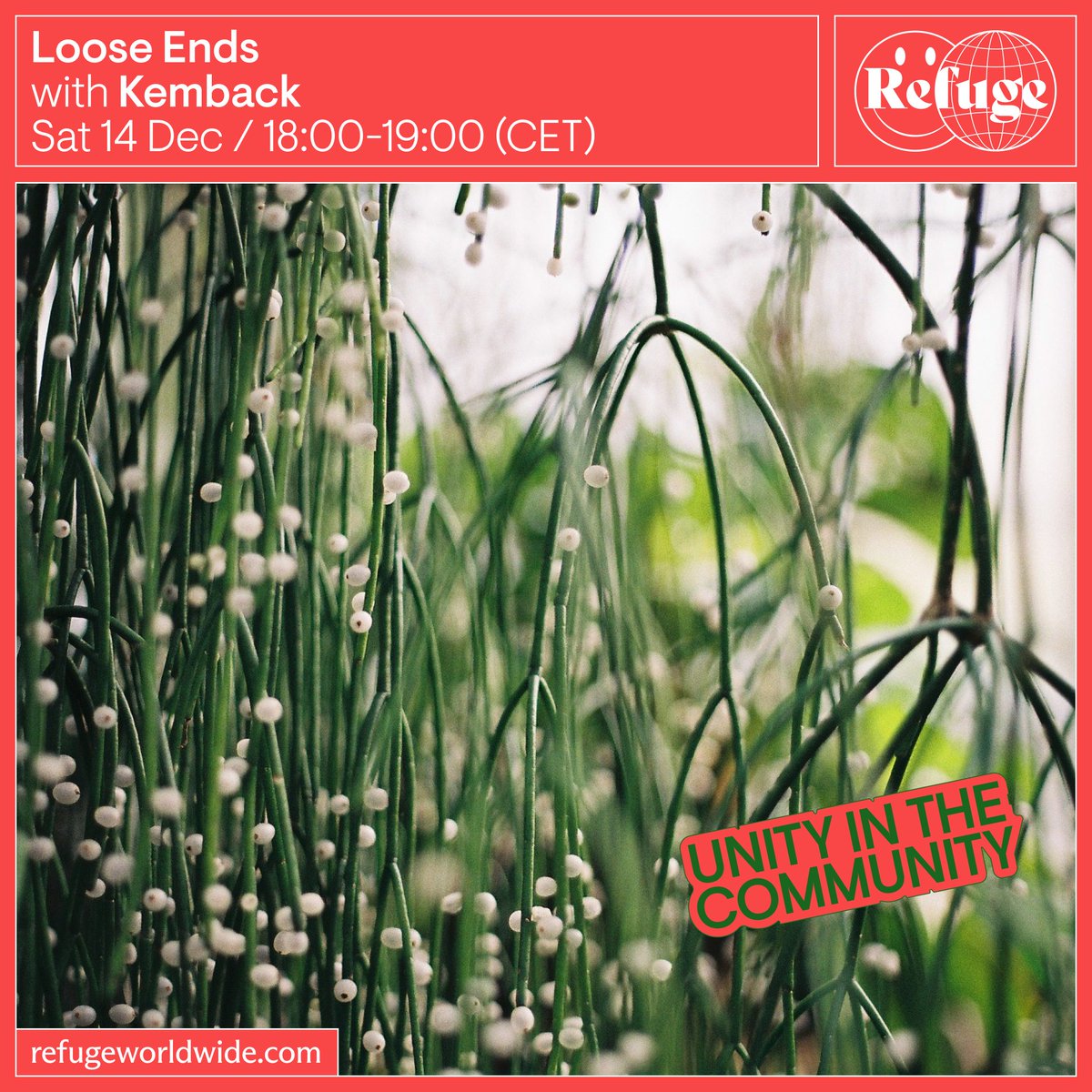 Geoff Kemback tweet media