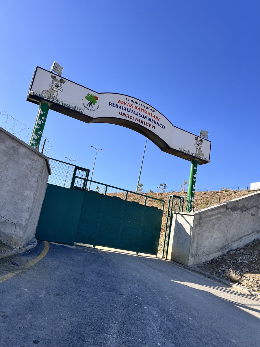 Herkes Mamak barınağına. Ben de oradaydım, acil ayrılmak zorunda kaldım. Sadece bu görüntü değil, fazlası da var. Hepsi yayınlanacak. Tüm Ankara Mamak barınağına. Avukatlar içeride.