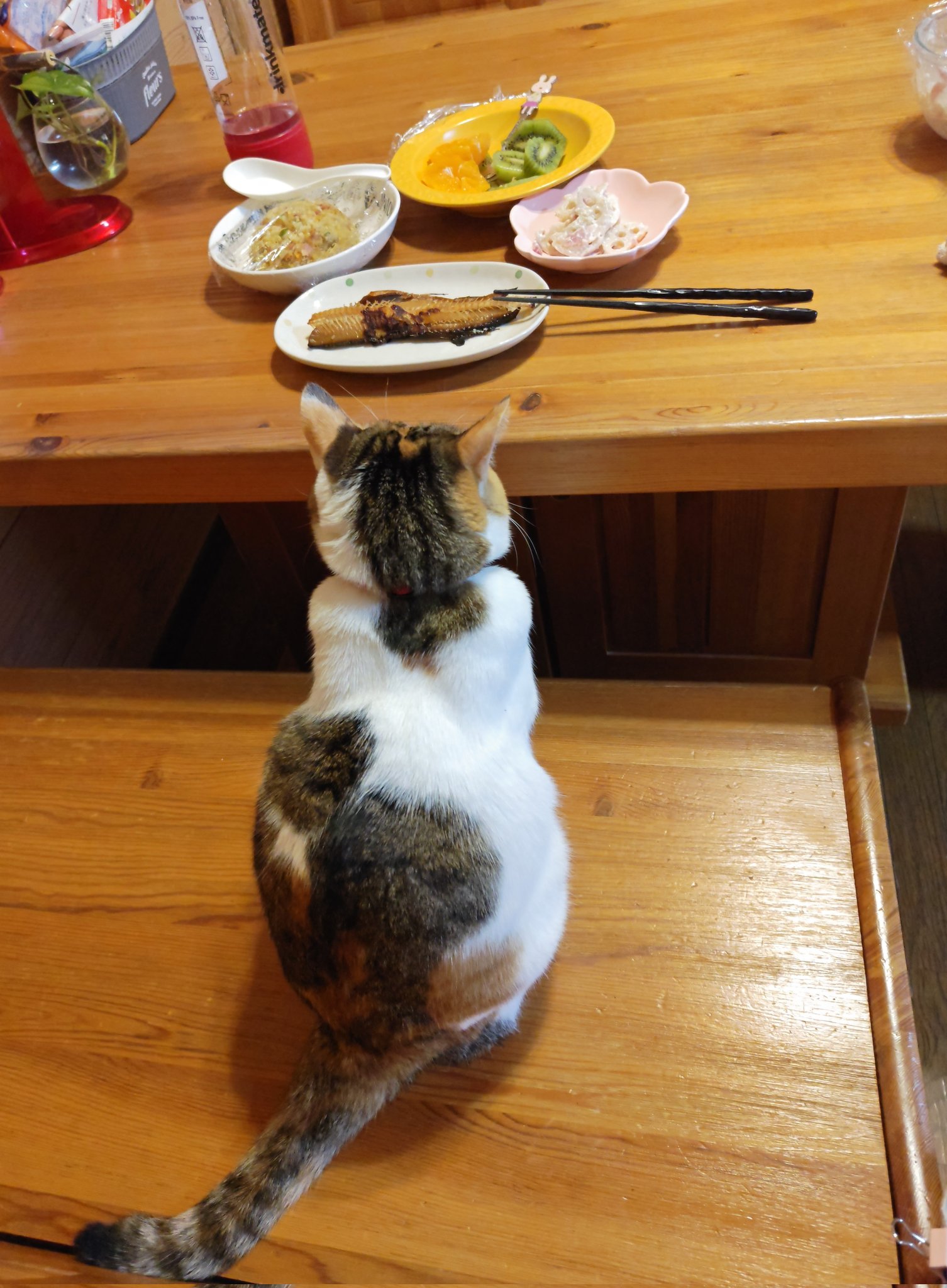 ほっけ - Search / X