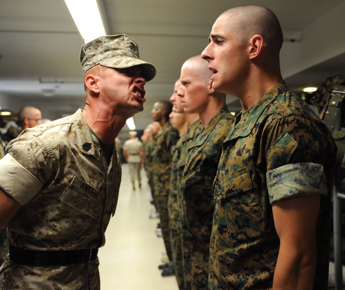 timcagleauthor's tweet photo. TIM CAGLE THRILLERS!  FOR XMAS, COLONEL JESSUP from “A FEW GOOD MEN” MIGHT say: “Son, we live in a world where most books suck! Read CAGLE’S BOOKS so you can handle the truth, or I’ll shove a CODE RED so far down your throat, your tonsils will flank your butt cheeks!” #BookLover https://t.co/5yeflTiY7X
