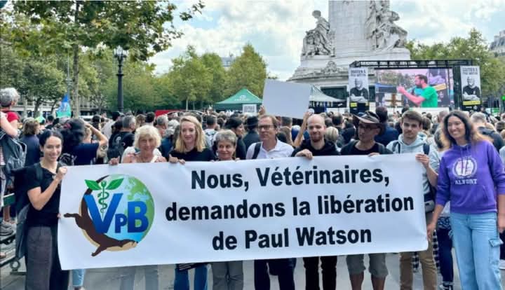 ⚠️dernière ligne droite ⚠️Il faut inonder les réseaux, la décision est normalement prévu pour demain. ‼️

#FreePaulWatson