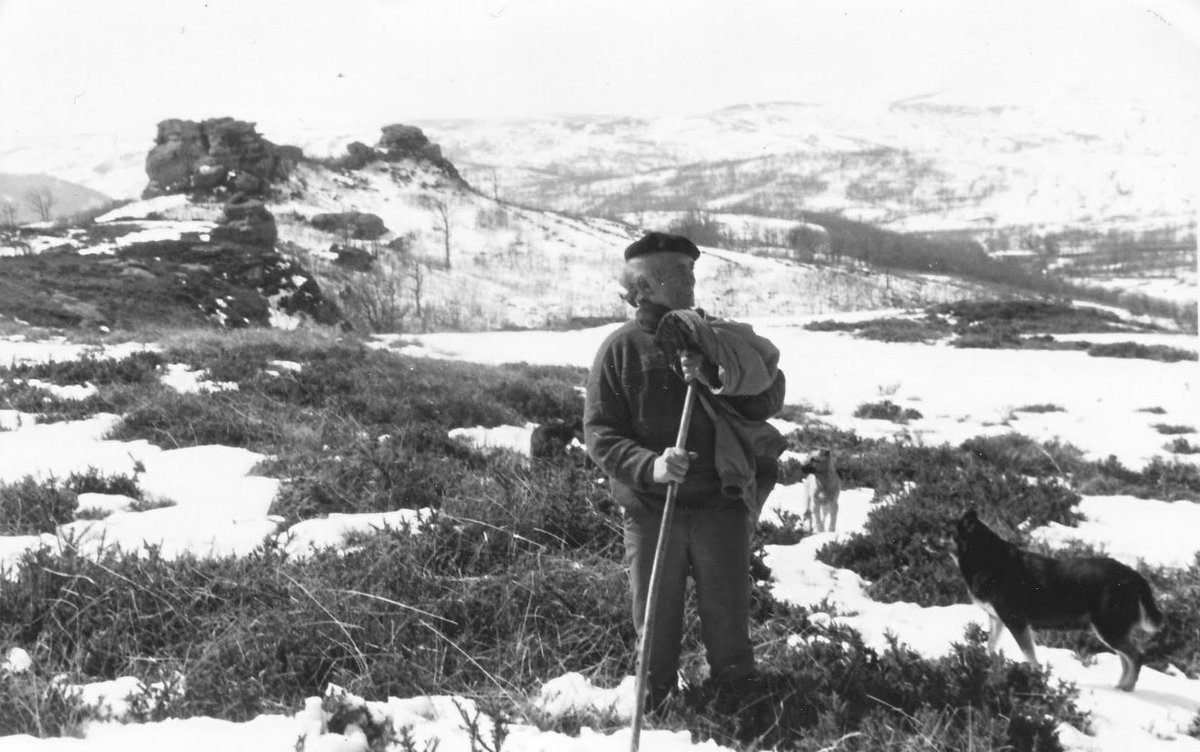 Su último guardián, Acacio Iñiguez, cuidó de Linares de Bricia hasta su muerte. Desde entonces el despoblado se ha degradado velozmente.

Acacio, murió acompañado solo por sus  perros.

No os perdáis lo que Elías Rubio vivó con Acacio en este artículo: arqytrad.blogspot.com/2011/01/acacio…