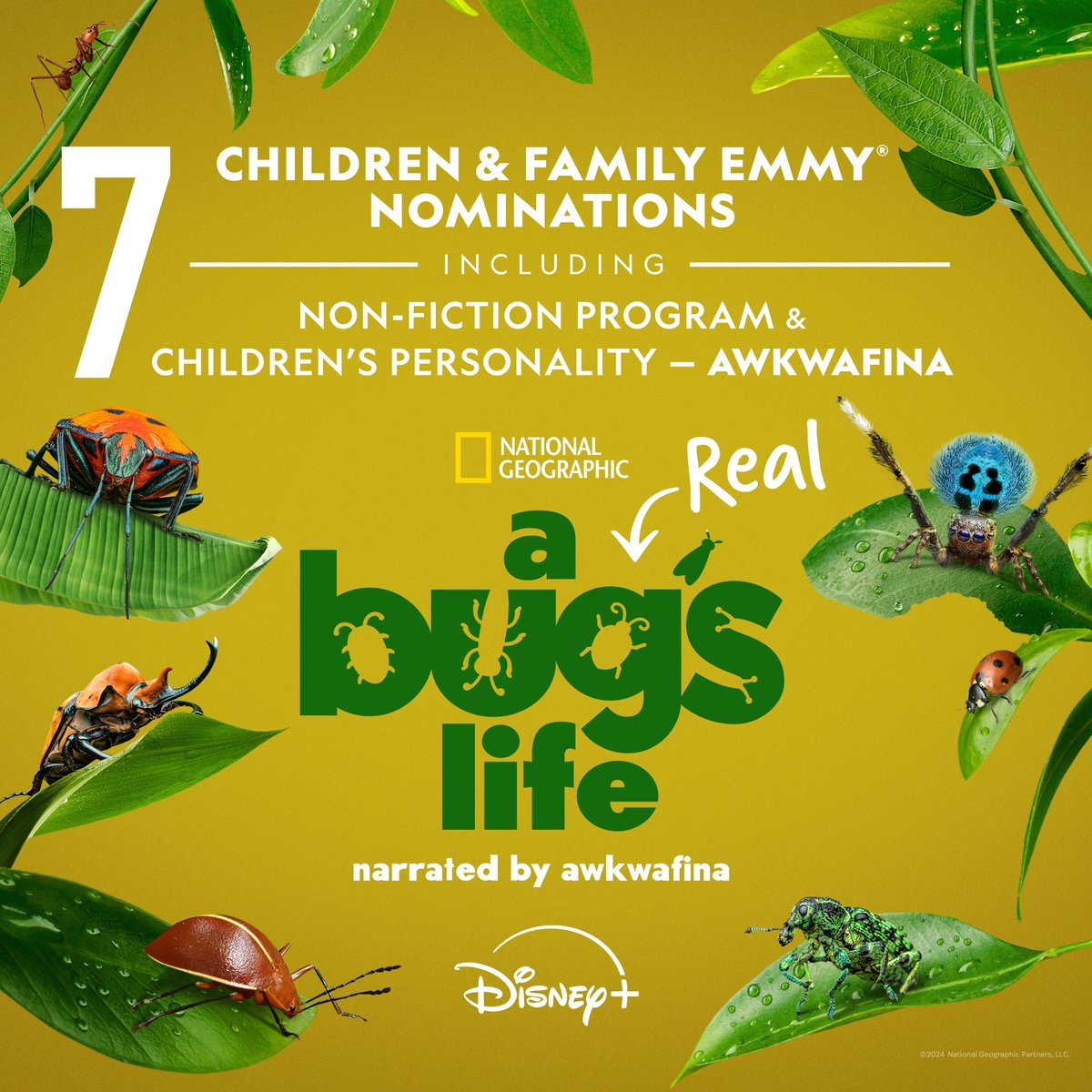 Plimsoll (@plimsollprods) on Twitter photo #ARealBugsLife has just been nominated for seven Childrenâs & Family Emmy Awards - marking the first ever CAFEnominations for National Geographic!
Donât forget, all episodes are still available on <a href="/DisneyPlus/">Disney+</a>
<a href="/NatGeoTV/">National Geographic TV</a>
<a href="/NatGeo/">National Geographic</a> #ARealBugsLife has just been nominated for seven Childrenâs & Family Emmy Awards - marking the first ever CAFEnominations for National Geographic!
Donât forget, all episodes are still available on <a href="/DisneyPlus/">Disney+</a>
<a href="/NatGeoTV/">National Geographic TV</a>
<a href="/NatGeo/">National Geographic</a>