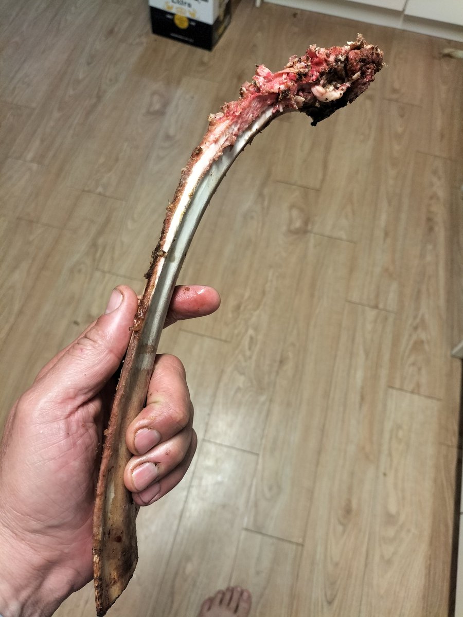 killermattk's tweet image. Stage 3. 

#Tomohawk