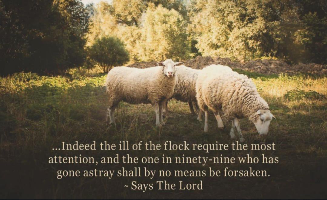 Basir Hydara (@basirhydar47556) on Twitter photo 