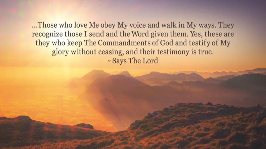 Basir Hydara (@basirhydar47556) on Twitter photo 