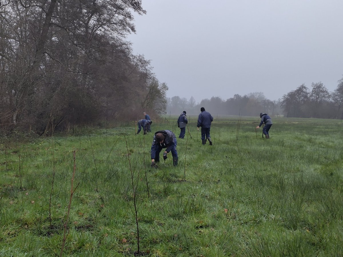 Vanmorgen de randen van een perceel aangeplant met inheemse struiken en bomen door de Groene Buitenmedewerkers Lettelberterpetten.  Mogelijk gemaakt door een bijdrage van Springtime Foundation.
