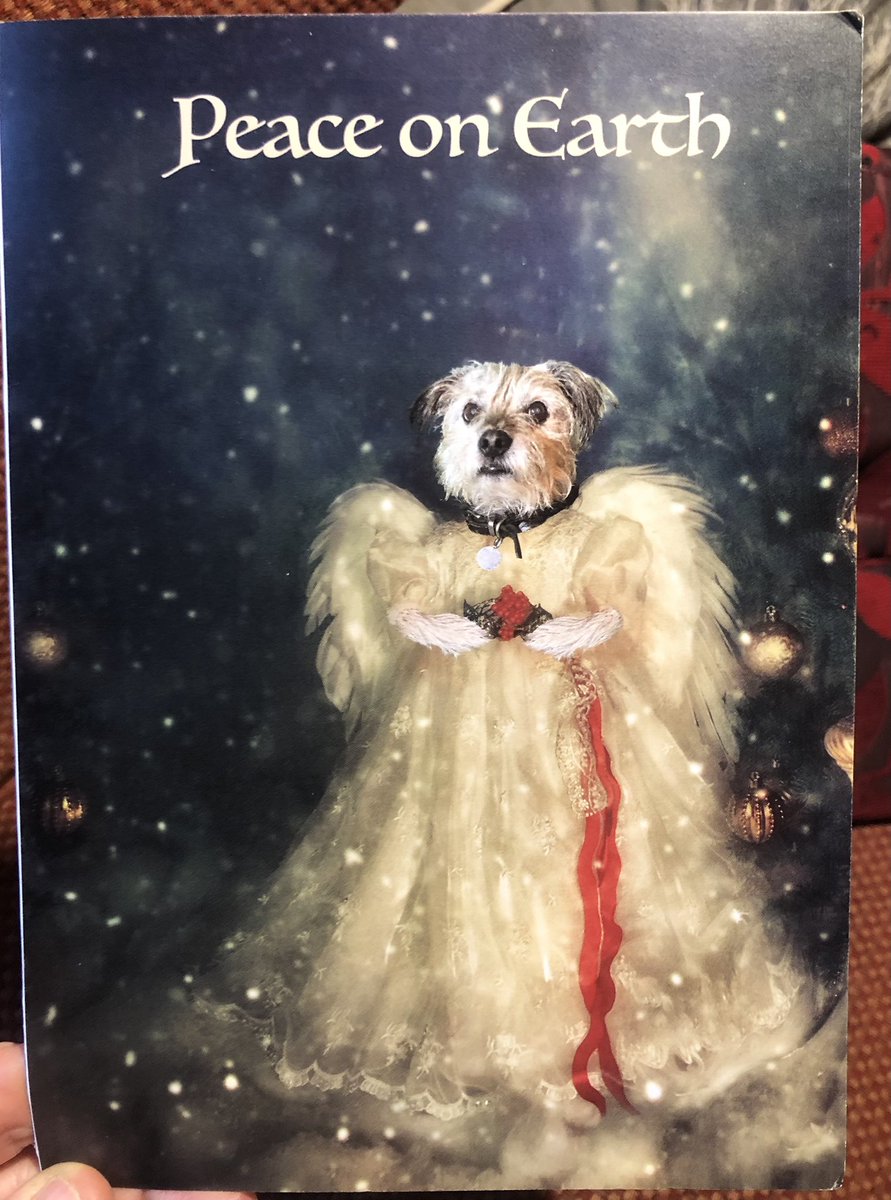 Every year, my friend Tim creates a Christmas card that stars his dog Olaf, who has a memorably mournful and whiskery little face.  This year, I feel, he has surpassed himself.