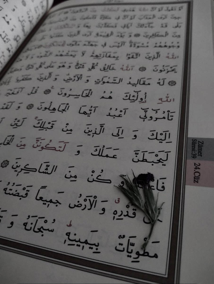 ysmnuye's tweet photo. Bu dünyaya tekrar gelsem yine seni arar bulur uğruna bir gençlik daha harcardım öylesine derin bir mevzuydun bende 
#hafızlık https://t.co/C1paIGiD9s