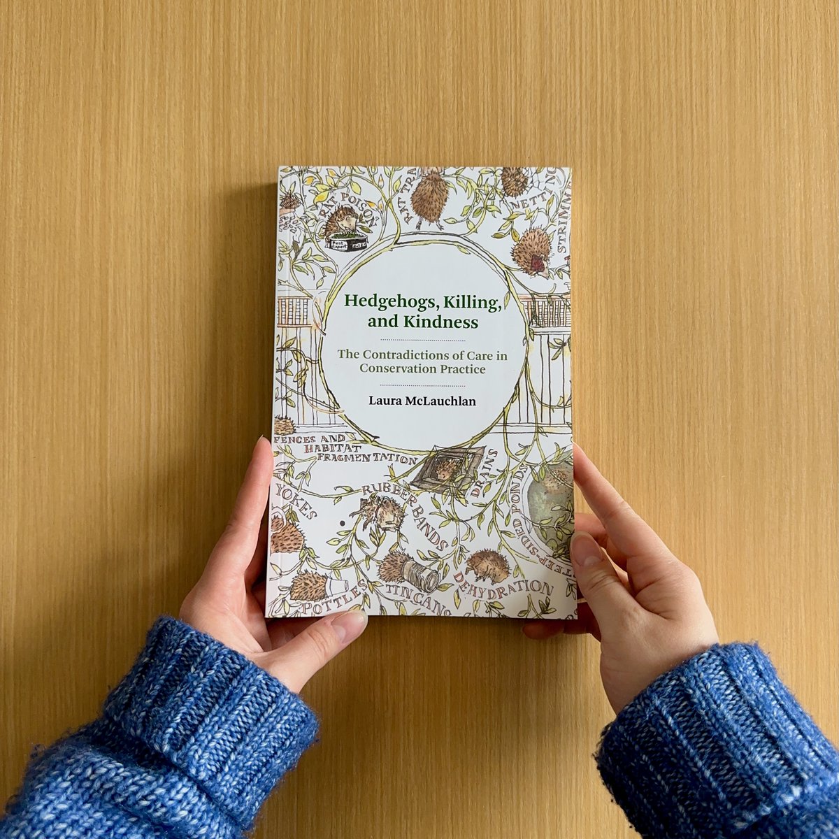 The MIT Press @mitpress.bsky.social tweet media