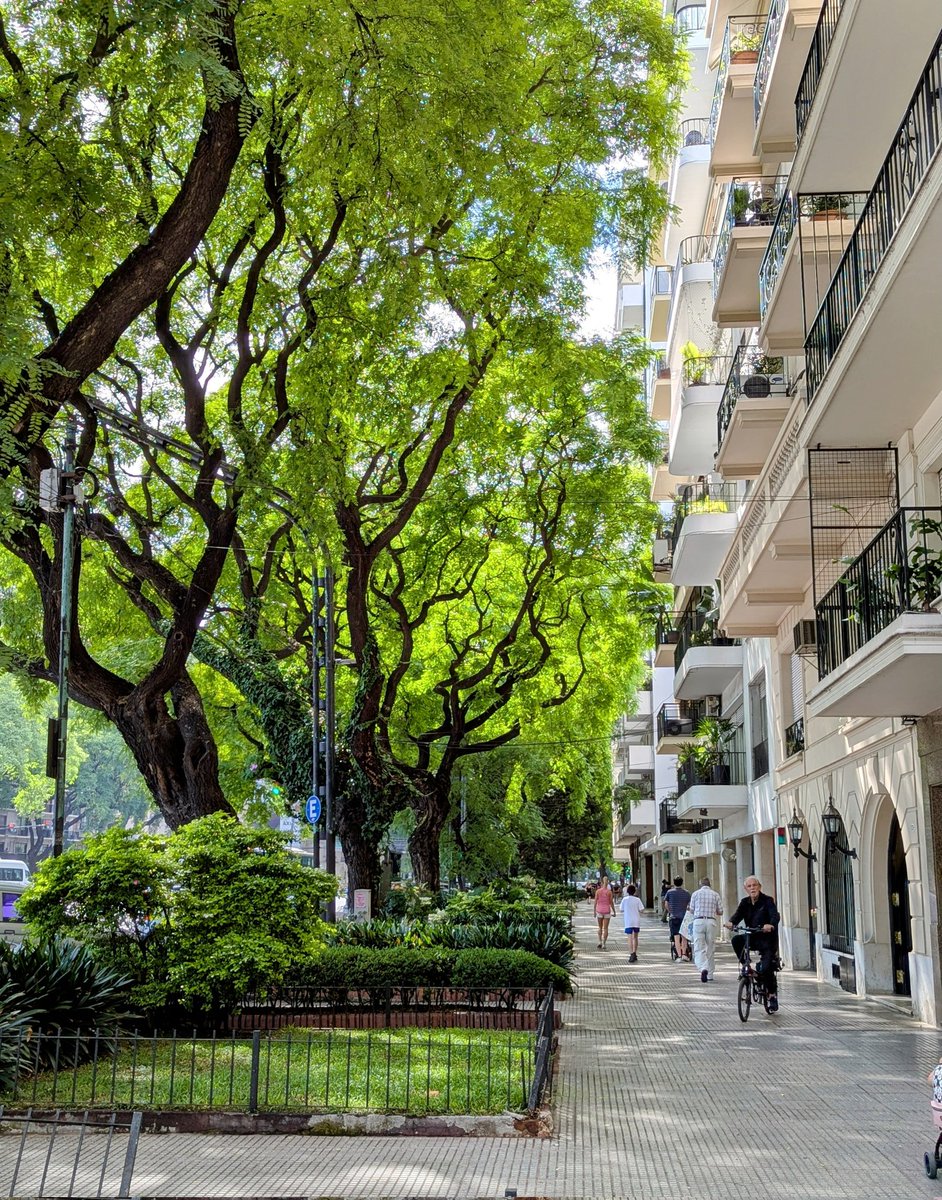Sábado de mañana primaveral en Buenos Aires es probablemente la combinación espacio-tiempo de este mundo.