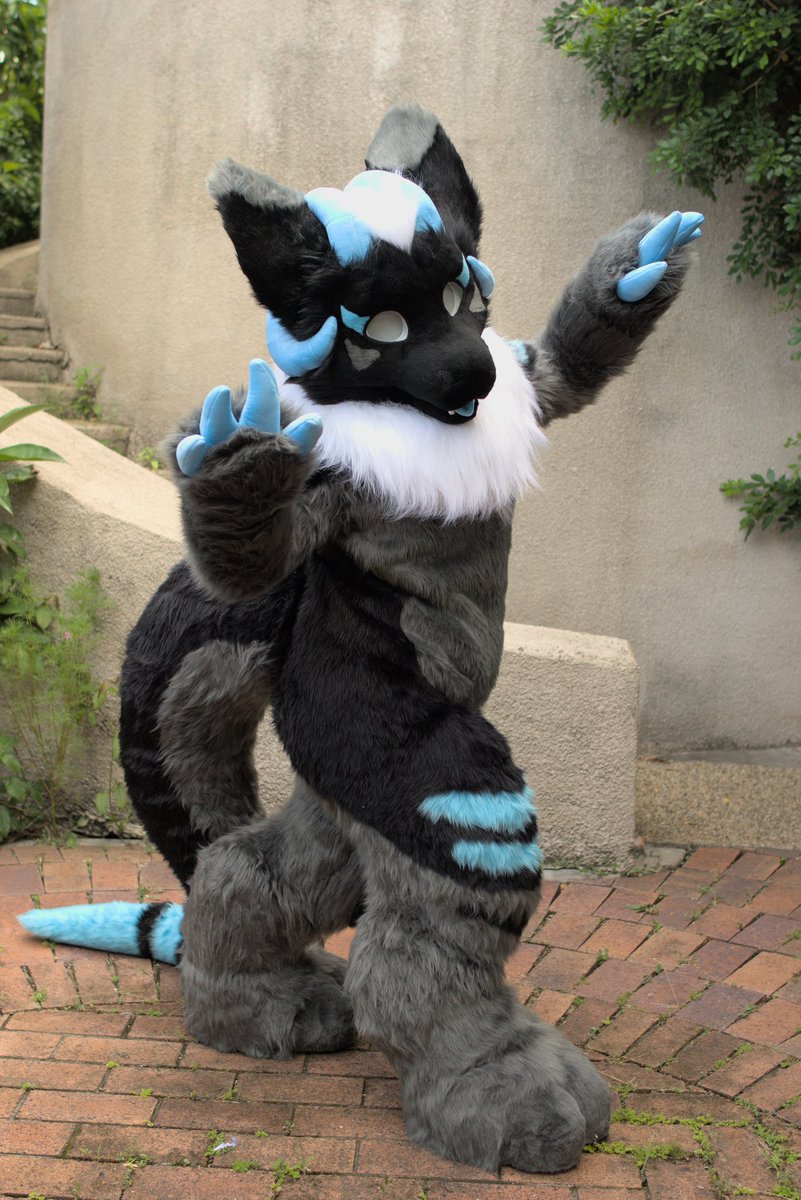 🐺✨Skyehighstudios✨🐺 tweet media