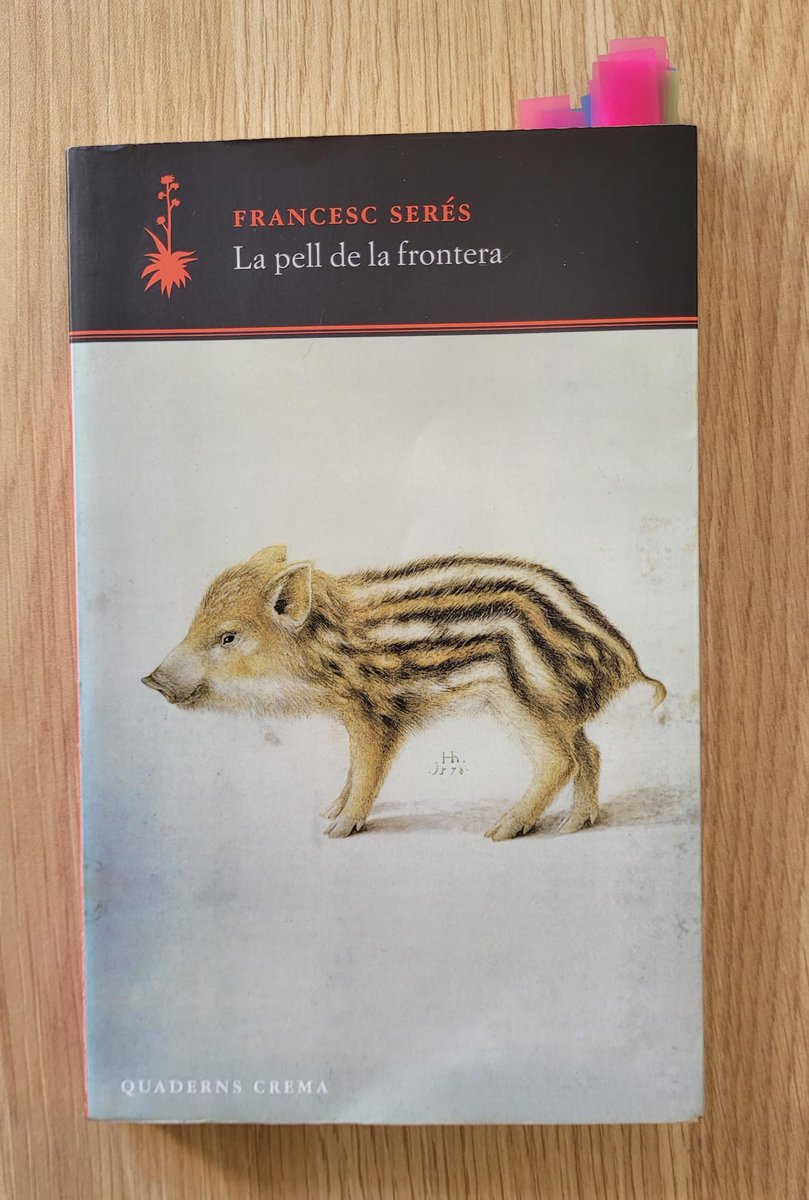 Oriol Roig Monturiol tweet media