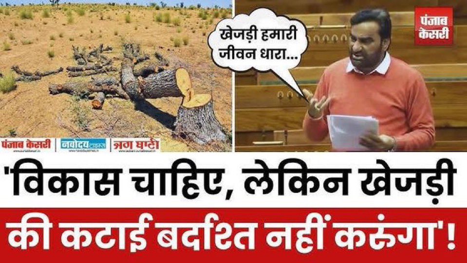 विकास चाहिए लेकिन खेजड़ी की कटाई बर्दाश्त नहीं होगी ...

#पर्यावरण_साथे_हनुमान