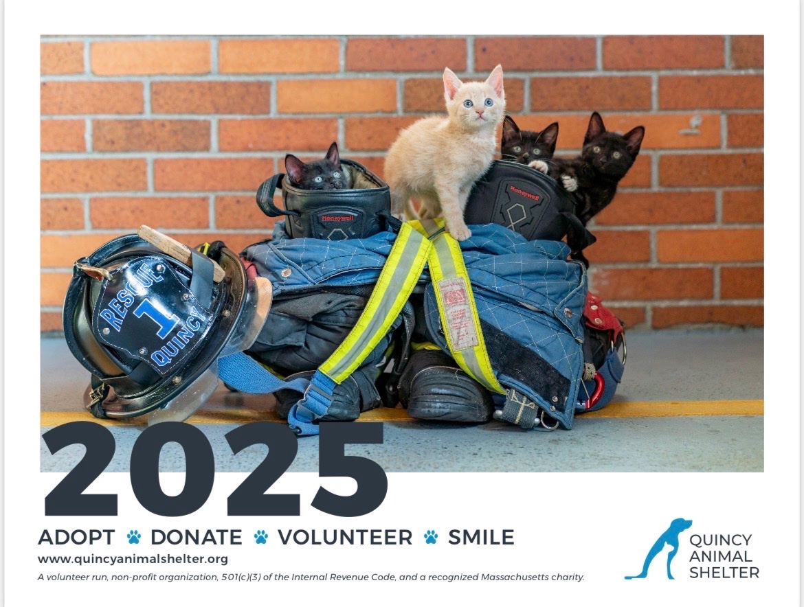QASQuincy's tweet photo. Our 2025 calendar is now available! Buy yours during adoption hours on Saturdays 10 - 2 or our Holiday Open House today. Makes a great gift! https://t.co/5SUwy6CHVX