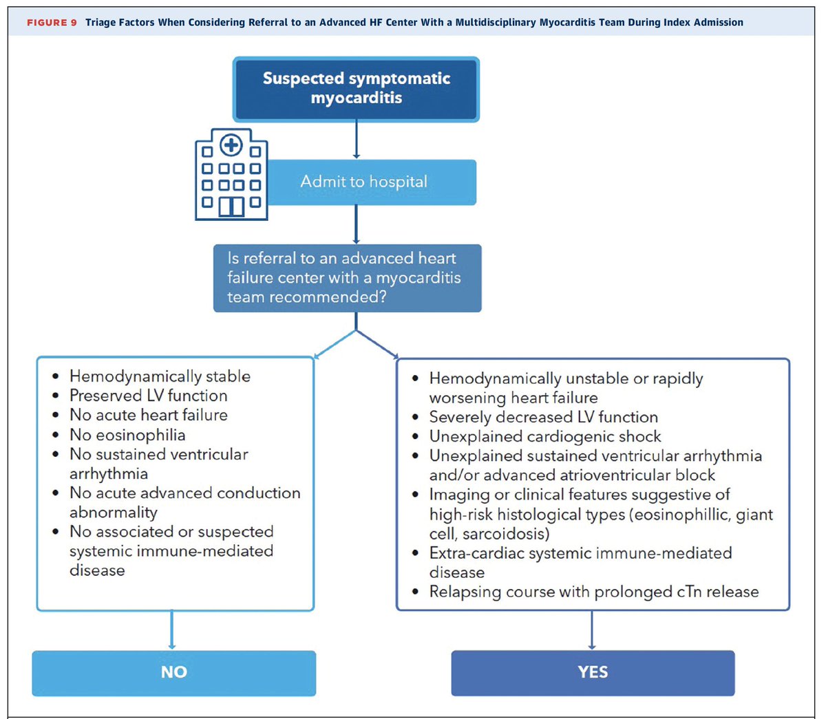 Gonzalo Perez tweet media