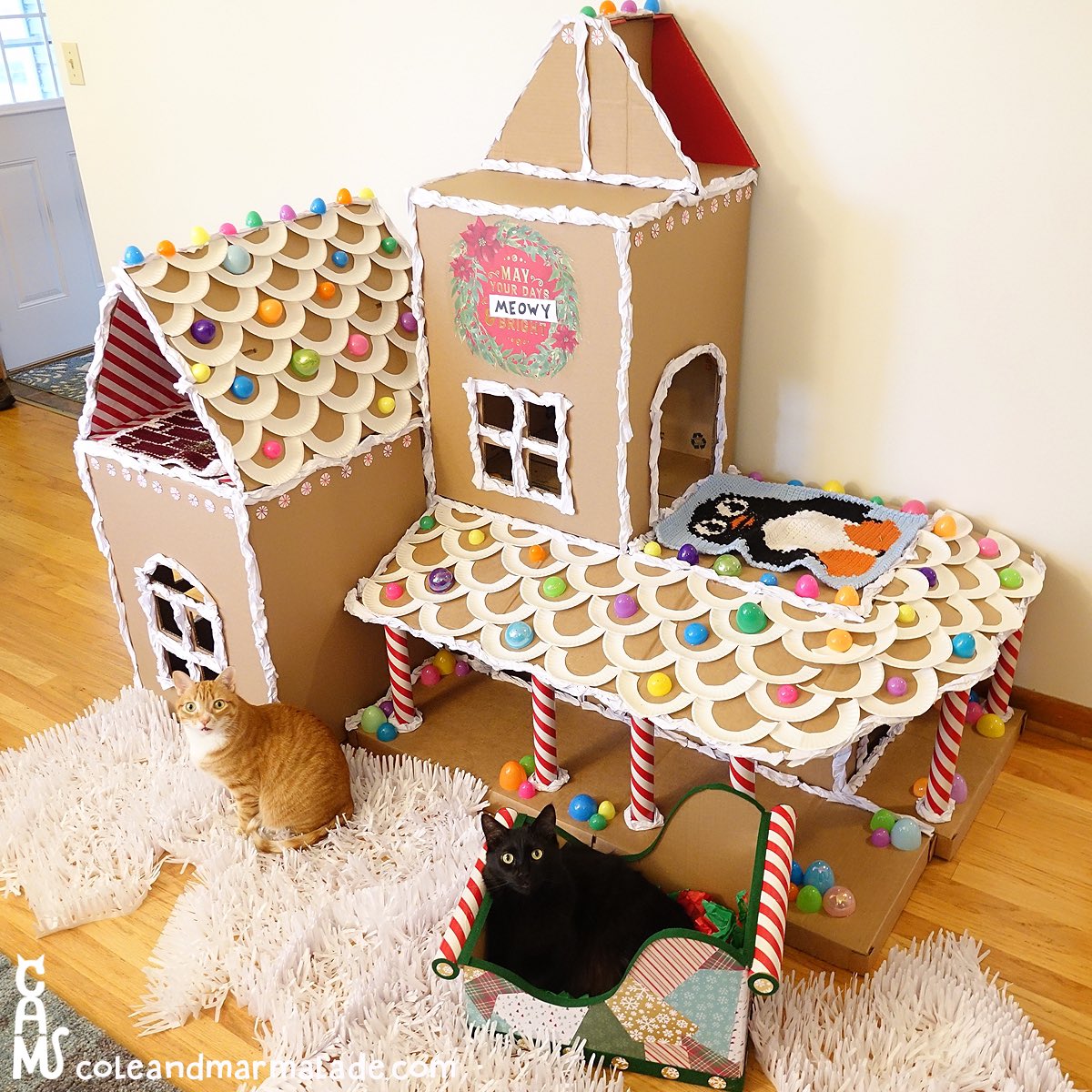 ColeTheBlackCat's tweet image. A gingerbread cat house! 😻🍭🍪

#gingerbread #gingerbreadhouse #caturday #cats
