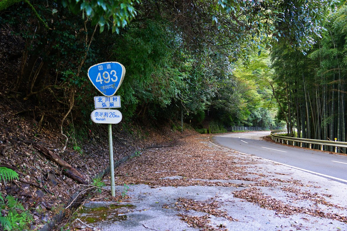 国道493号の標識
小首を傾げてるようでかわいいね