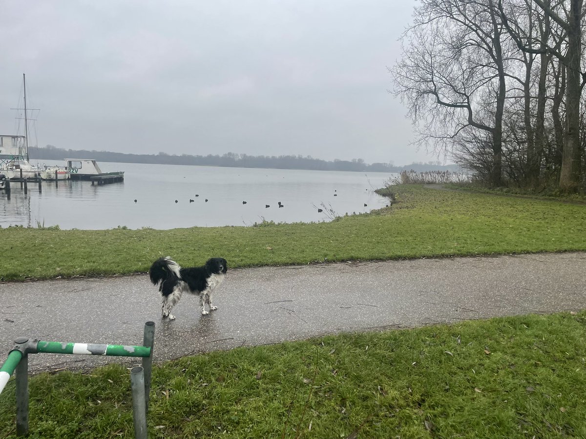 Erik Klooster tweet media