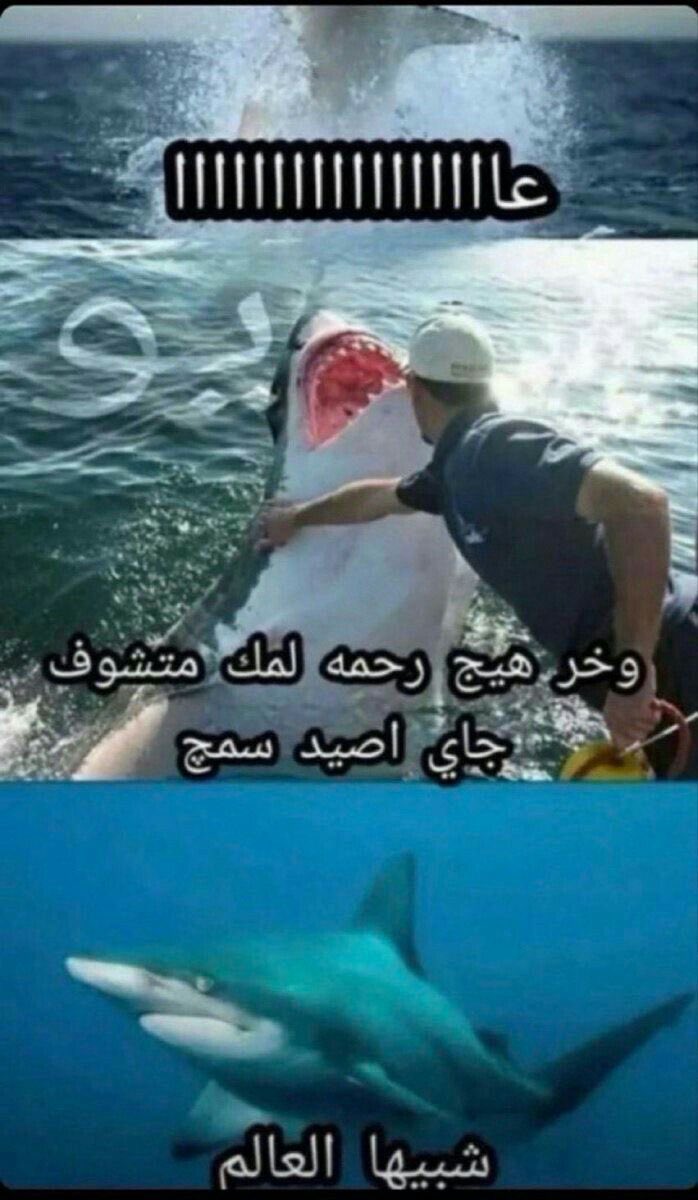 candlure's tweet image. Drop something random from your gallery