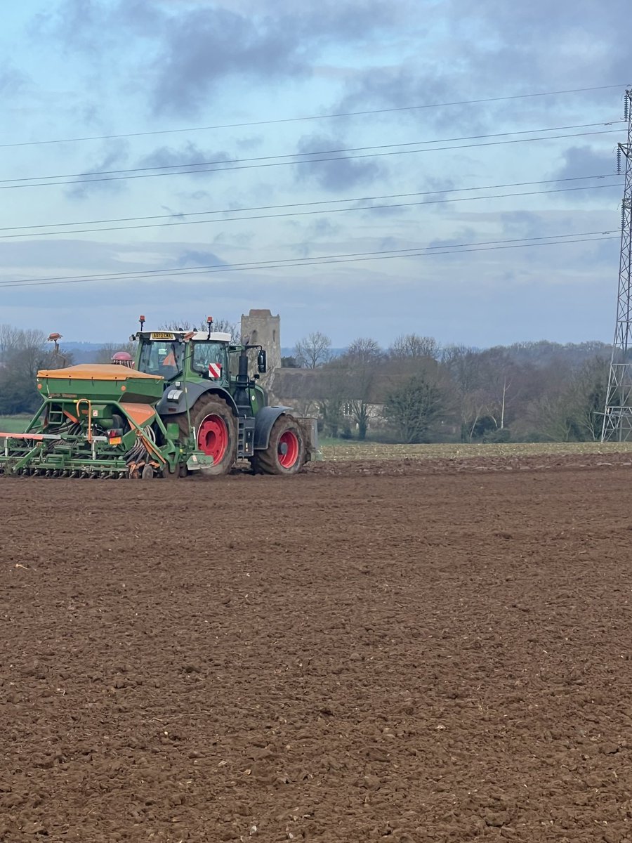 Last field of wheat, after beet, time to enjoy winter now