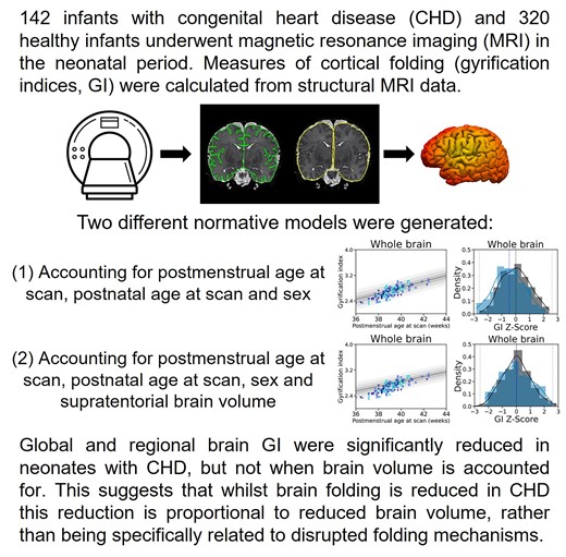 Cromb et al. report that cortical folding is reduced in neonates with congenital heart disease, associated with smaller brain volume. Cerebral oxygen delivery impacts brain growth more than folding. Read at: tinyurl.com/abkjyaa4