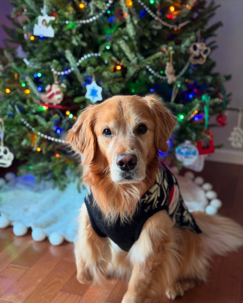 I swear I’ve been good this year.. 🤭 🎅🏻