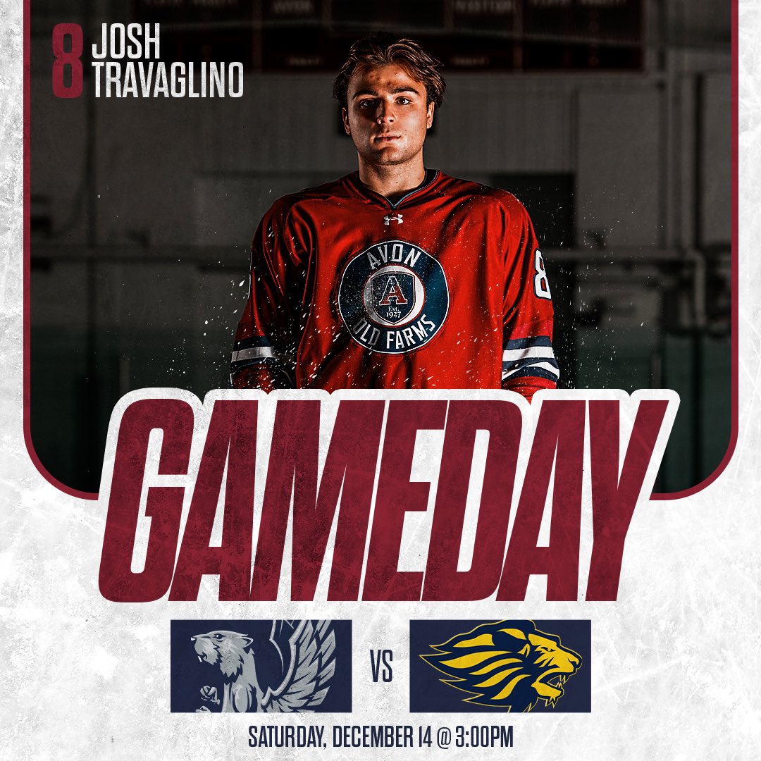 AOF HOCKEY tweet media