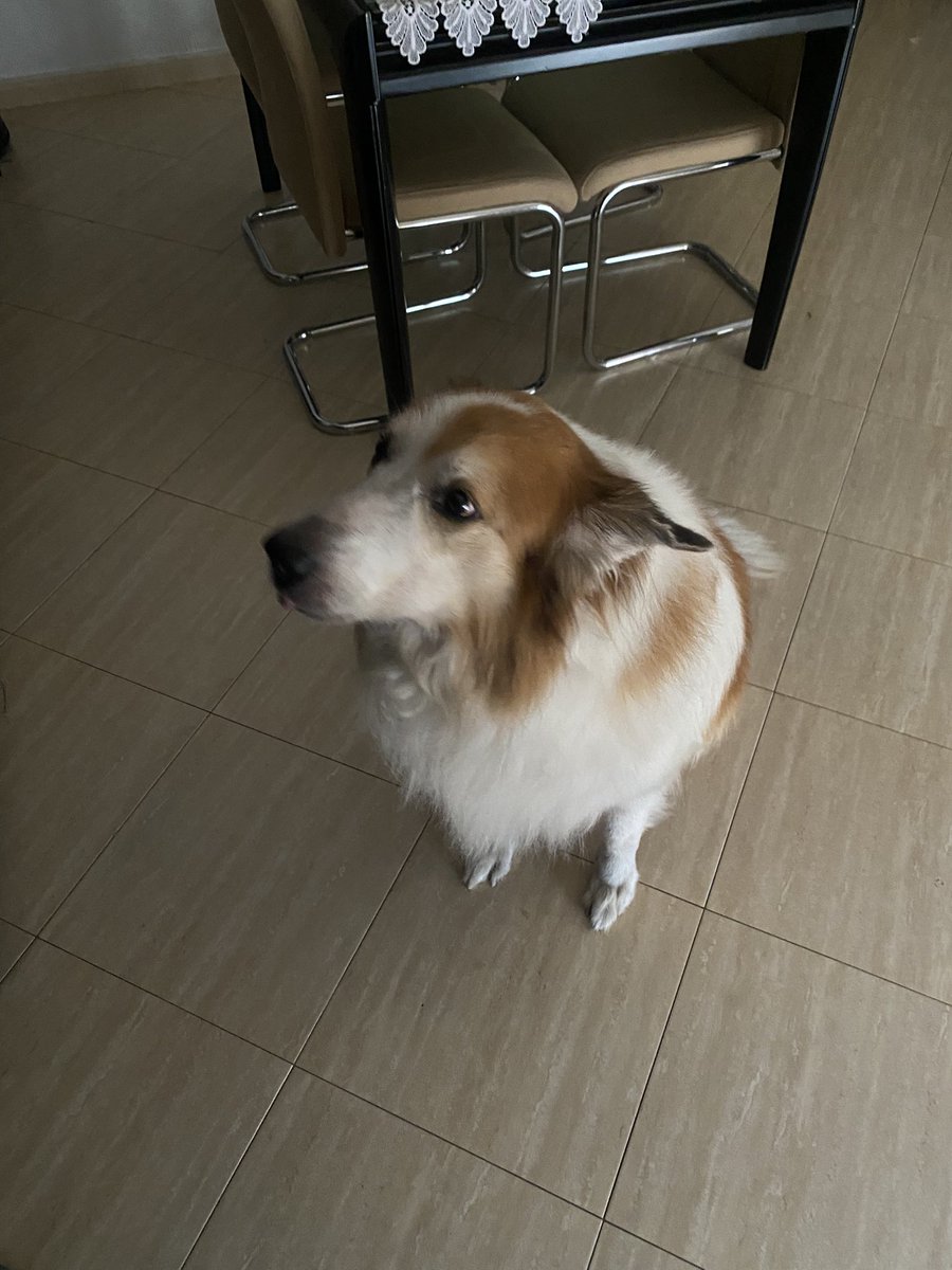 viene de peluquearse bro donde el samuel