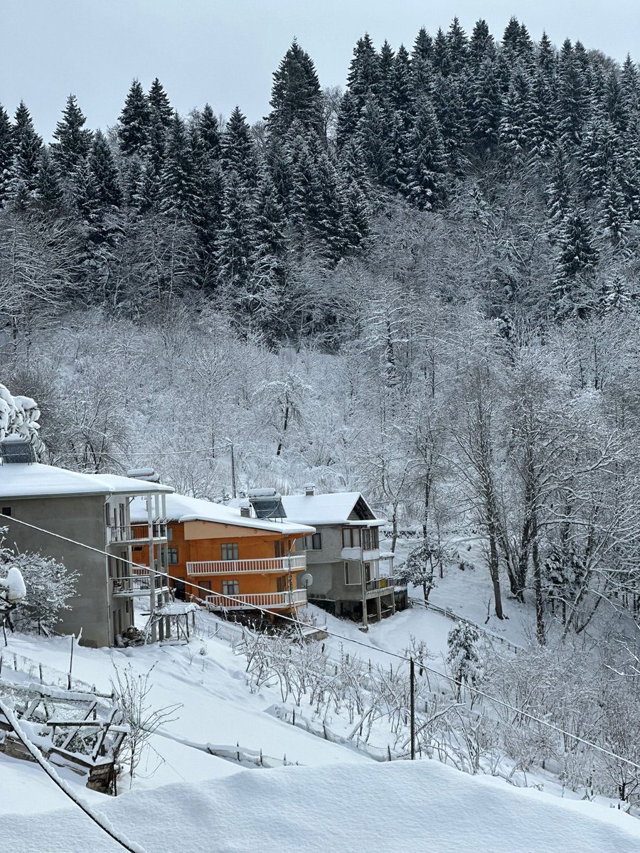 fotinosdan's tweet photo. Çaykara Fotinosumuz’dan kar manzaraları.❄️
📍 Kabataş Üst Kaban
📷@Ensarpektas61 https://t.co/biGJiPiMC6