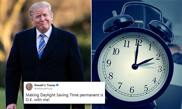 Daylight Times tweet media