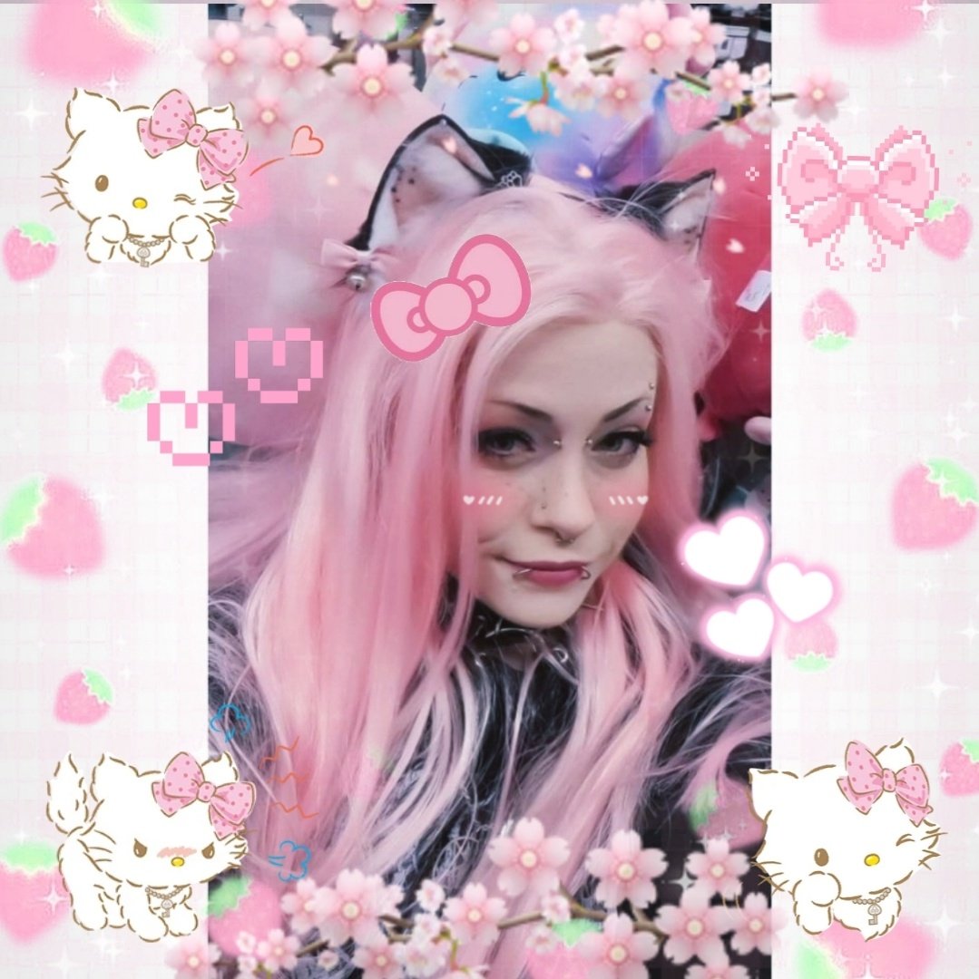 lavenderkxtten's tweet photo. ♡

#onlyfans #fansly #nsfwtwt #swer #lewd #catgirl #nsfw https://t.co/Zb142GlNFk