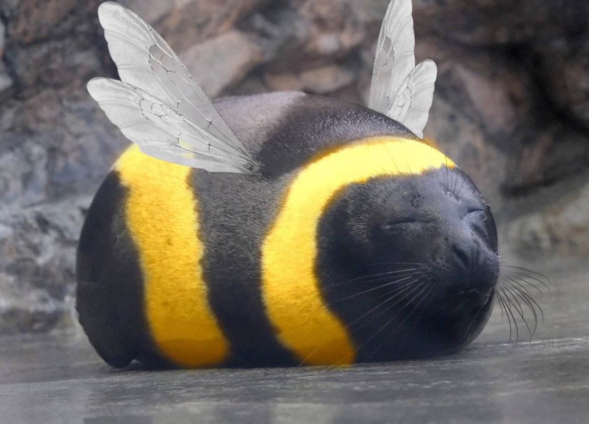 hope hopes hoping tweet media