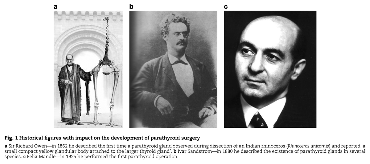 Achievements and challenges after a century of parathyroid surgery
➡️doi.org/10.1093/bjs/zn…

The celebration of a century of parathyroid surgery should promote reflection upon the remarkable advances in this field and motivate renewed interest in addressing the outstanding