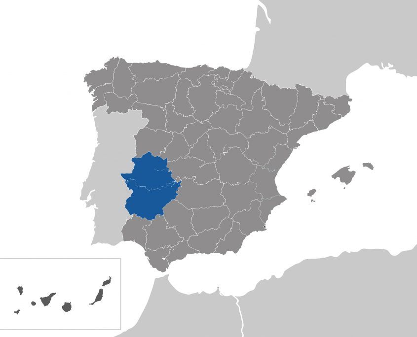 En gris: zonas de España donde en Navidad se consumen jamón y vino del bueno.

En azul: lo mismo que en gris pero todo el año.