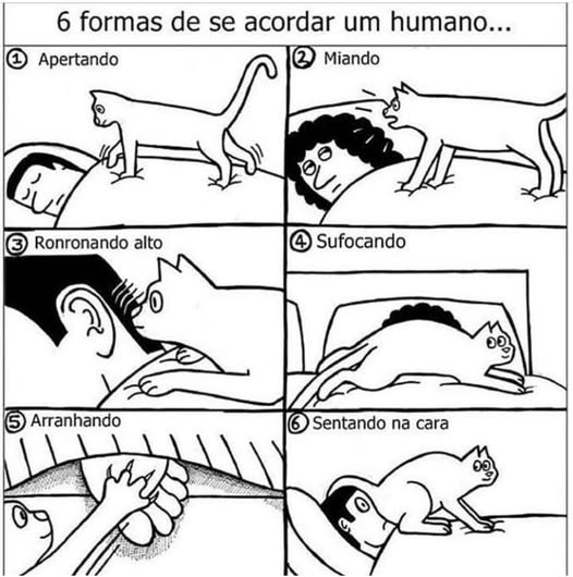 _CaTeresa_'s tweet photo. https://t.co/anxyf3yLCC