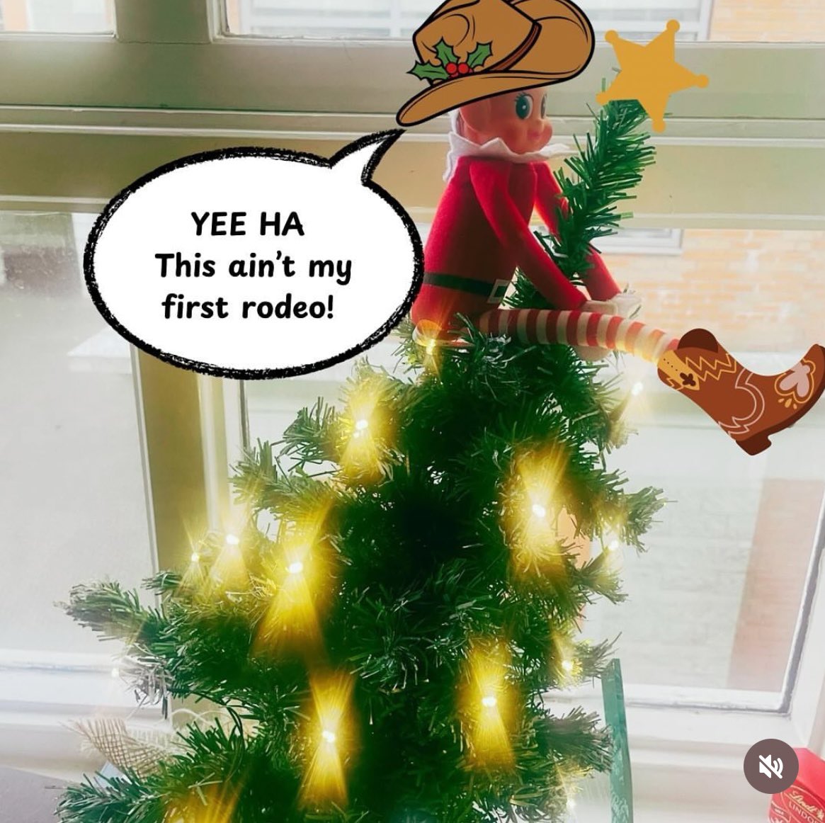 Streetwise Young People's Project tweet media