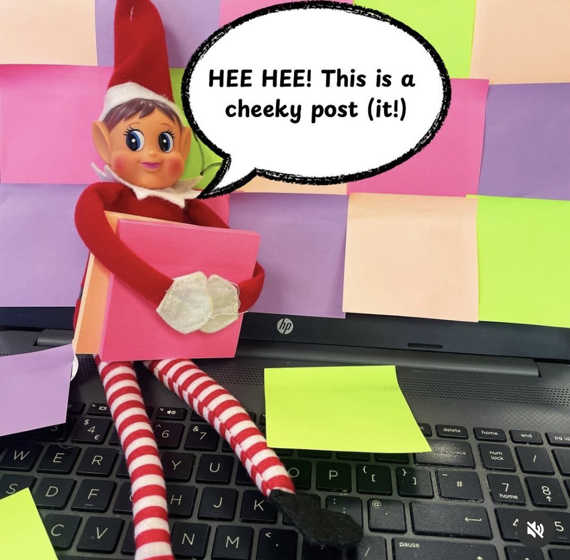 Streetwise Young People's Project tweet media