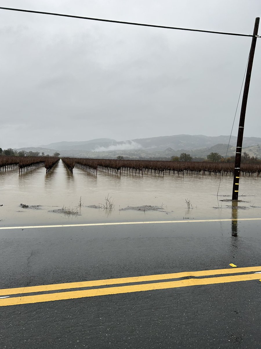 CaltransDist1's tweet photo. 🔴 TRAFFIC ALERT: Route 175 is CLOSED at Hopland (PM 0-1) in Mendocino County due to flooding. There is no expected time to be reopened.
Follow this page for updates, and visit https://t.co/faudYOtp7p for real-time traffic information.
#route175 https://t.co/e7F7lZgCfD