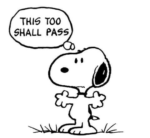 Daily Snoopy tweet media