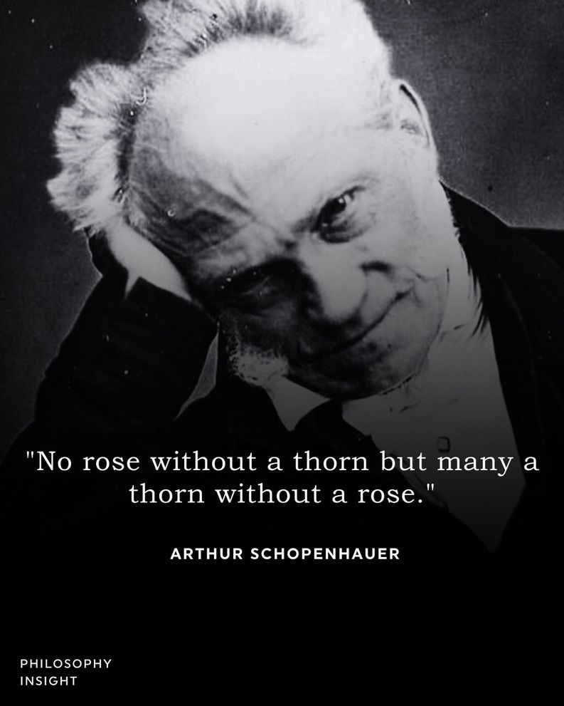 SchopenhauerNow's tweet image. 