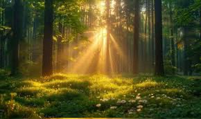 Roseinmygarden1's tweet photo. We should ask for and invite the force that created our #egoism—the altruistic force of nature—into our lives, that it would correct our egoism and grant us the ability to give and to #bestow similar to it. https://t.co/asH12SVokW