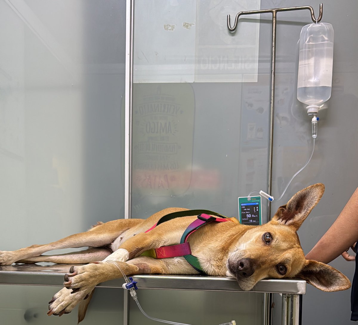 Macla Yamada tweet media