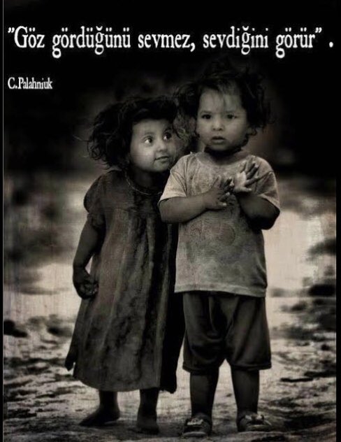 Feride Sezen (@ferideseze76421) on Twitter photo 