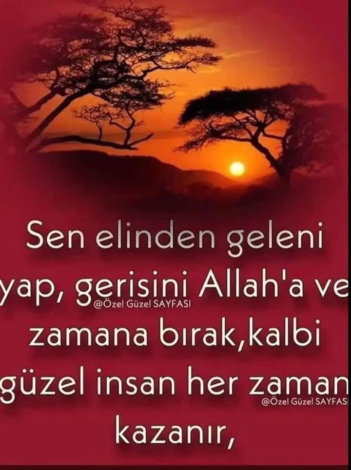 Fatih Arslanhan (@arslanhan_7711) on Twitter photo 