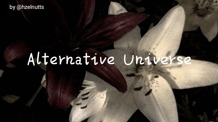 kacang 🥜 tweet media