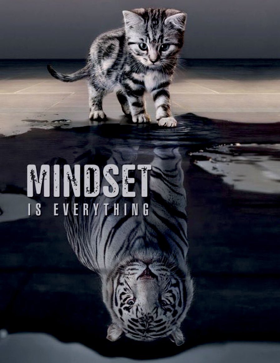 Dan Scavino Jr.🇺🇸🦅 tweet media