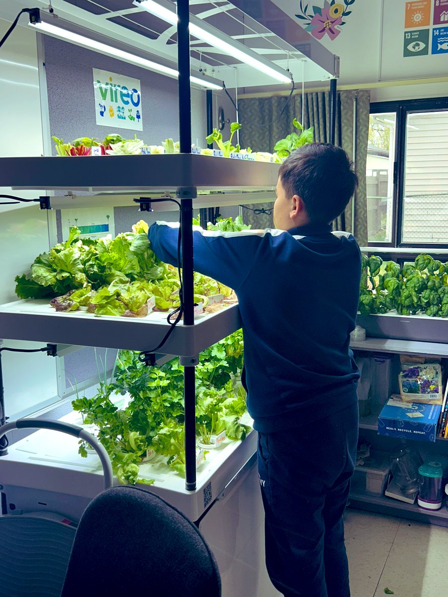 Rochelle Tkach 🌱 tweet media