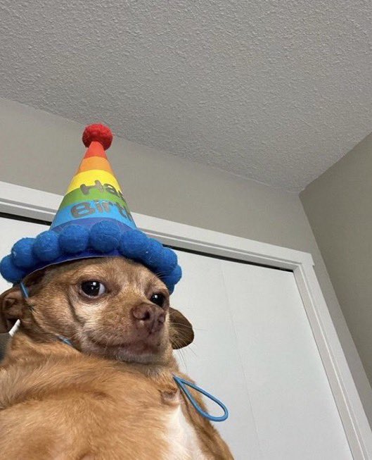 hey yall, it’s balloons on my page ?‍↕️ https://t.co/A95ZRhipxP
